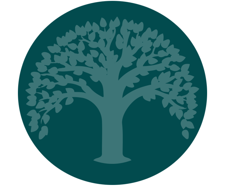 Life Circle Tree of Life Icon